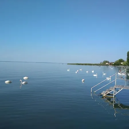 Beach * Zamardi